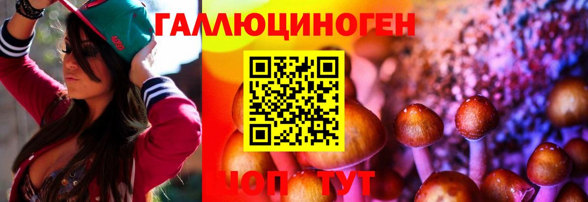 Галлюциногенные грибы Cubensis  наркошоп  Углич  Вход с VPN 